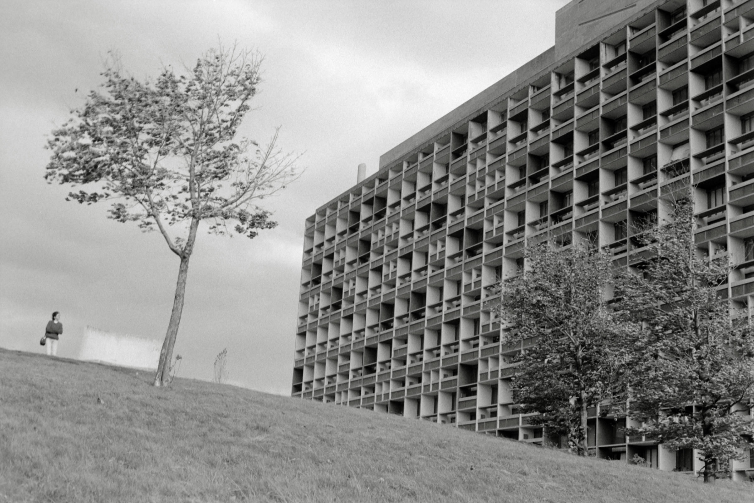 AHP F1995 10 004 sc240816 img30 NLP